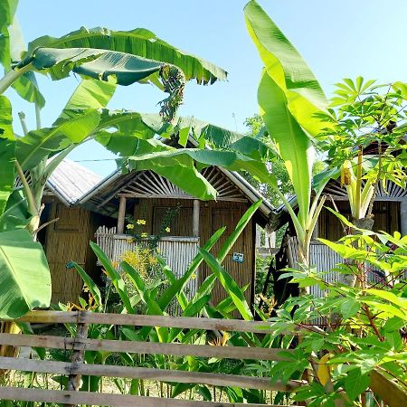 Banana Grove El Nido Hotel ภายนอก รูปภาพ