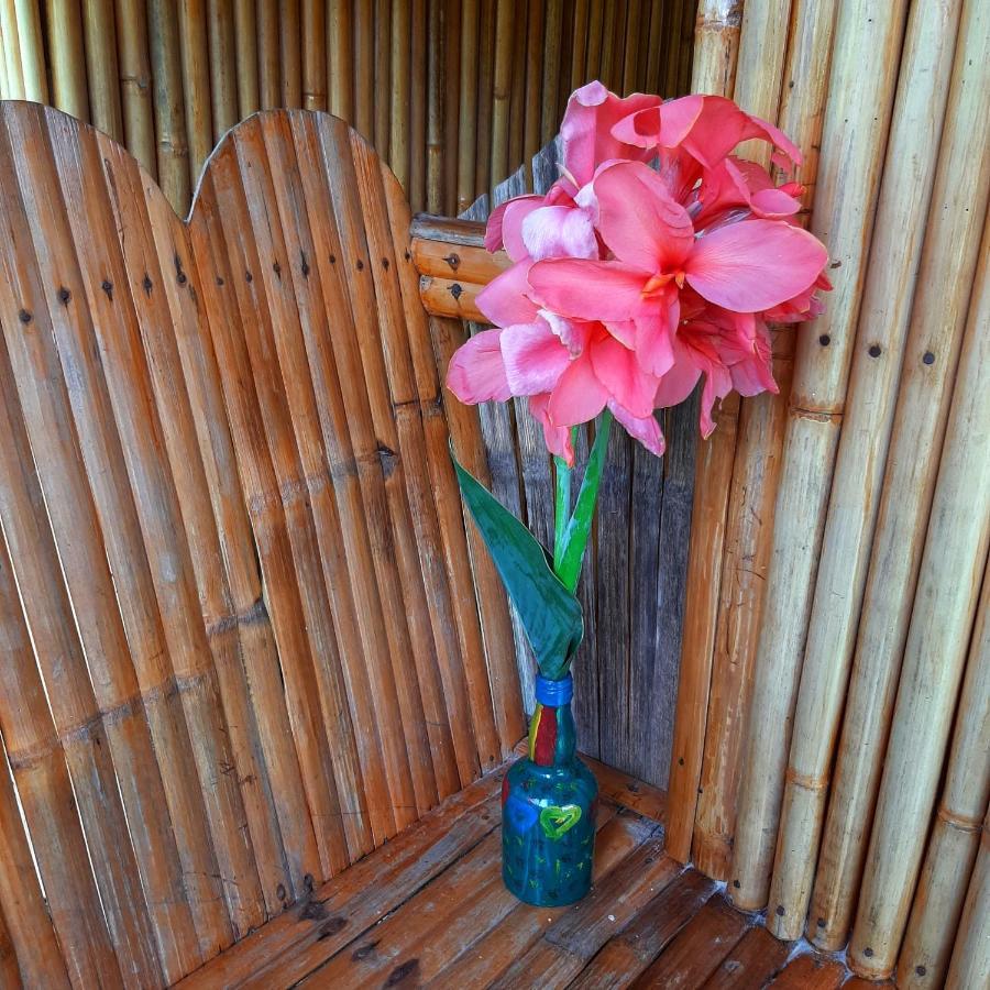 Banana Grove El Nido Hotel ภายนอก รูปภาพ